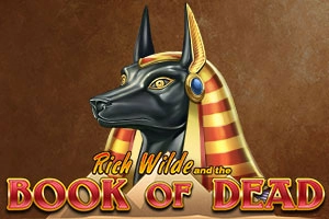 Book of Dead slot game